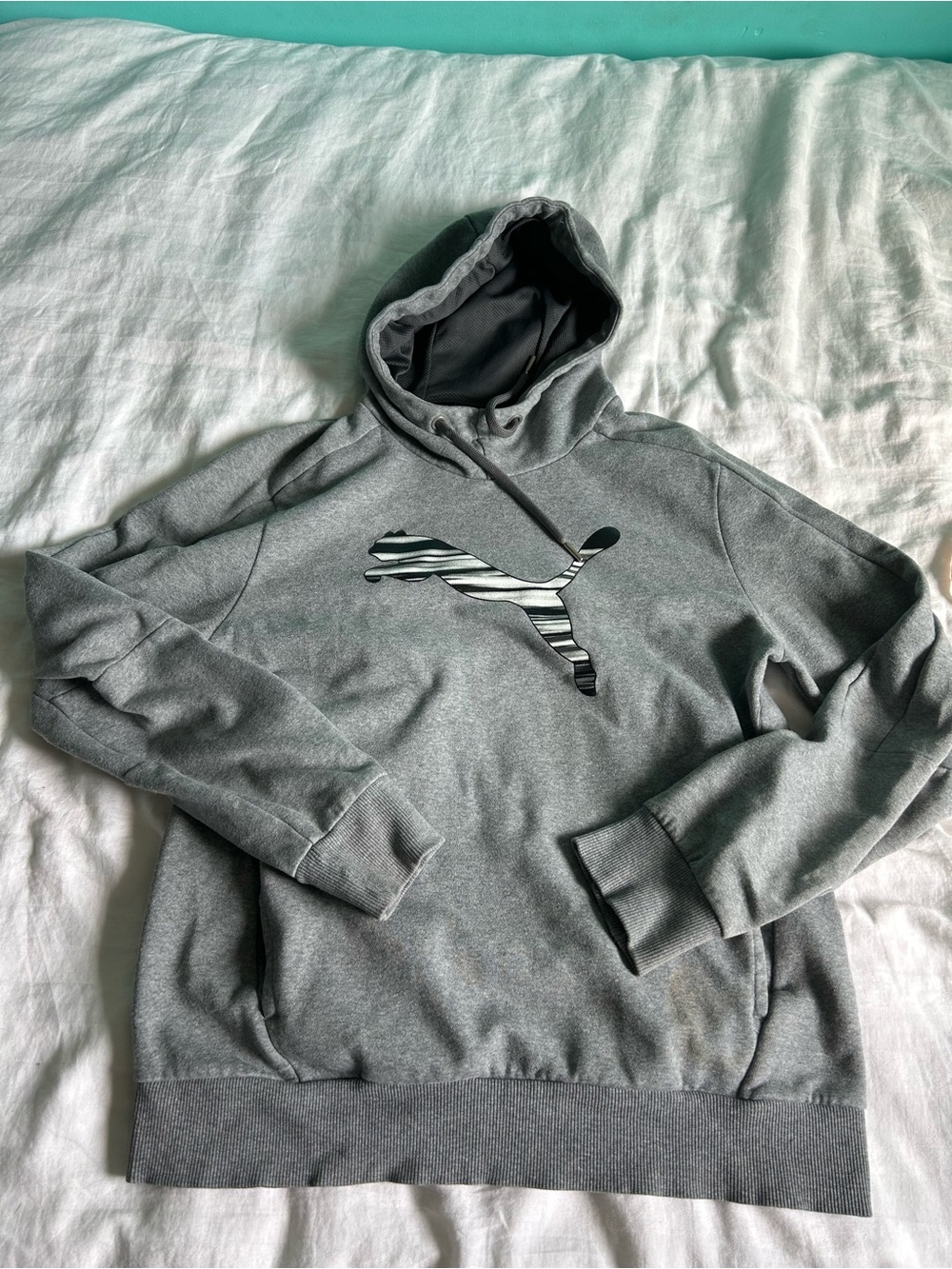 Puma Gray Men's Hoodie with Striped Puma Logo